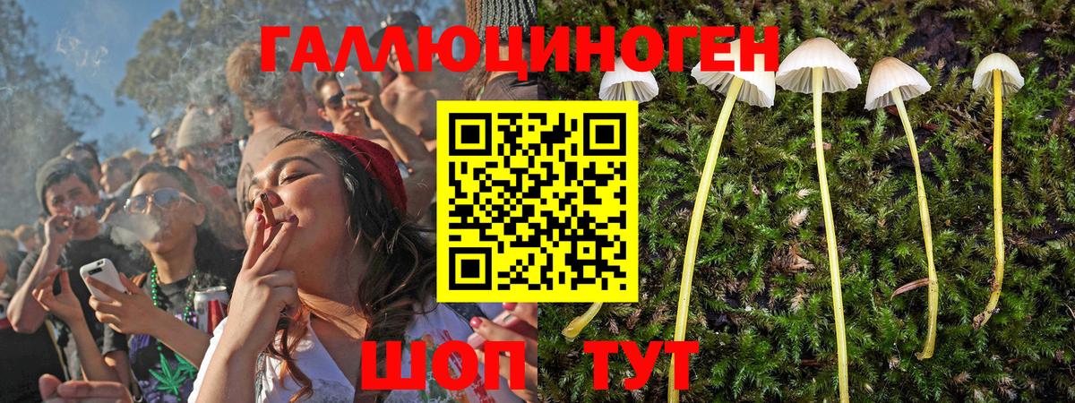 Галлюциногенные грибы GOLDEN TEACHER Полысаево
