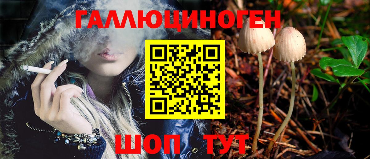 Полысаево  Галлюциногенные грибы Psilocybine cubensis  Вход с VPN 